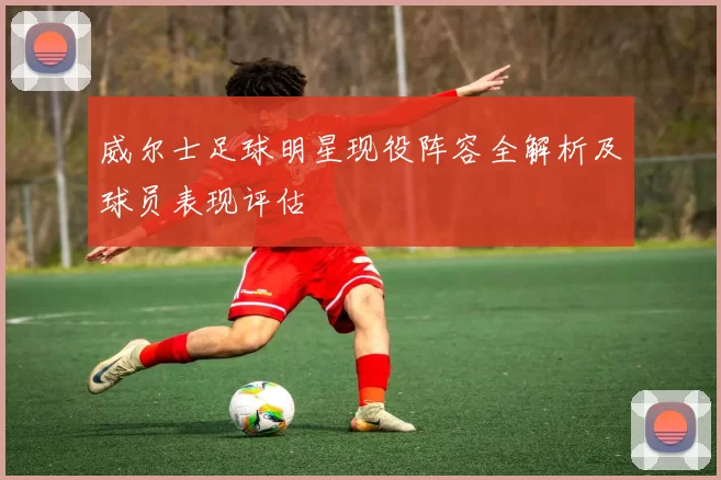 威尔士足球明星现役阵容全解析及球员表现评估