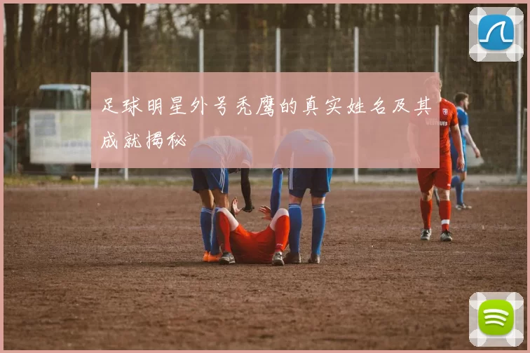 足球明星外号秃鹰的真实姓名及其成就揭秘