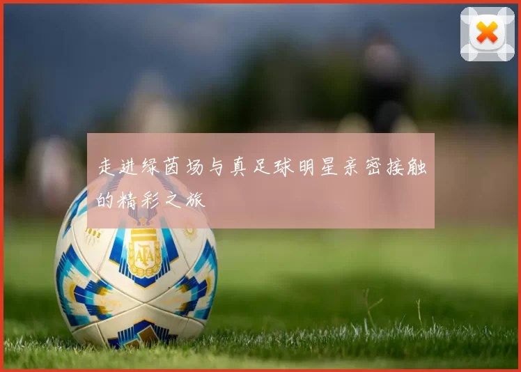走进绿茵场与真足球明星亲密接触的精彩之旅
