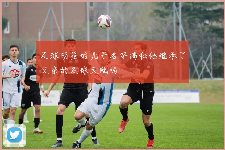 足球明星的儿子名字揭秘他继承了父亲的足球天赋吗