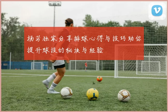 杨芳独家分享排球心得与技巧助你提升球技的秘诀与经验