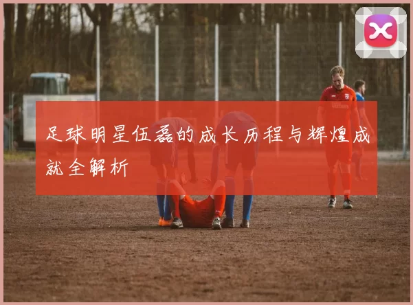 足球明星伍磊的成长历程与辉煌成就全解析
