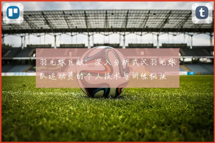 羽毛球巨献：深入分析武汉羽毛球队运动员的个人技术与训练秘诀