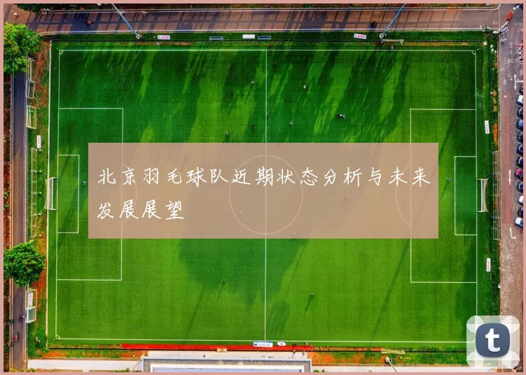 北京羽毛球队近期状态分析与未来发展展望