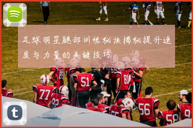足球明星腿部训练秘诀揭秘提升速度与力量的关键技巧