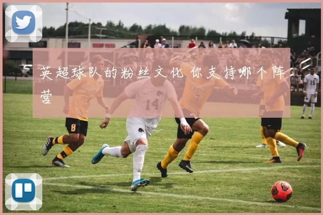 英超球队的粉丝文化 你支持哪个阵营