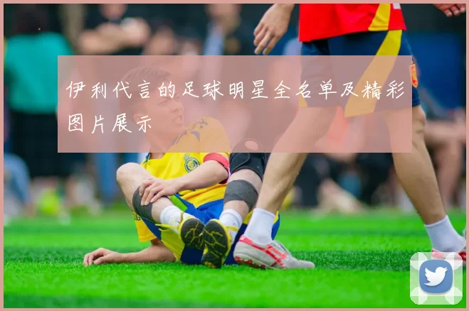伊利代言的足球明星全名单及精彩图片展示