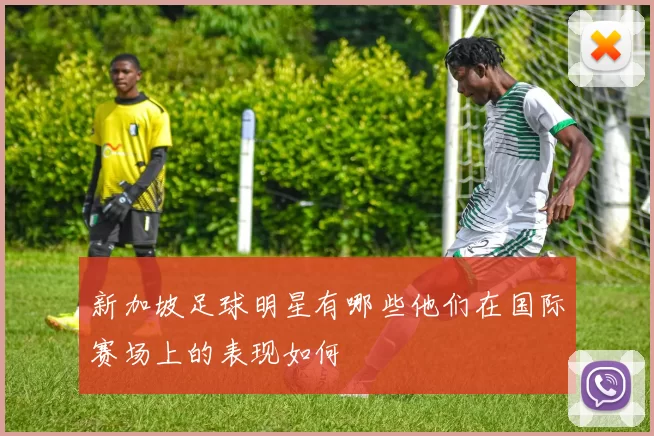 新加坡足球明星有哪些他们在国际赛场上的表现如何