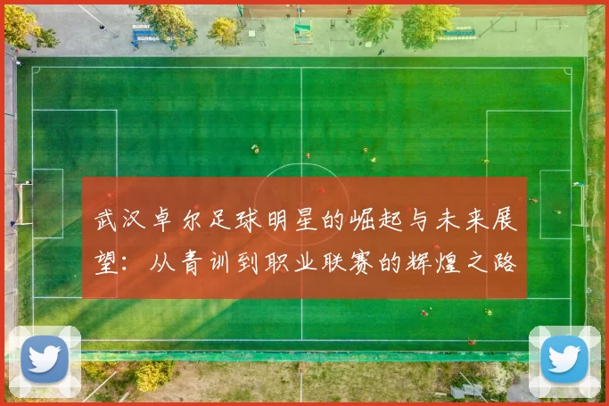 武汉卓尔足球明星的崛起与未来展望：从青训到职业联赛的辉煌之路