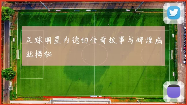 足球明星内德的传奇故事与辉煌成就揭秘