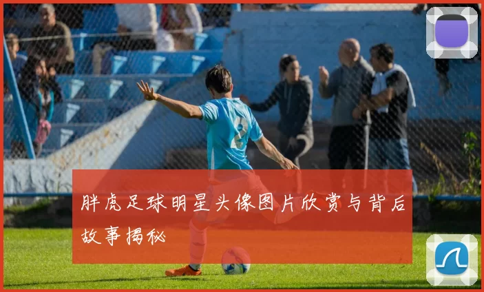 胖虎足球明星头像图片欣赏与背后故事揭秘