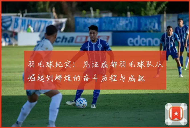 羽毛球纪实：见证成都羽毛球队从崛起到辉煌的奋斗历程与成就