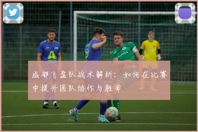 成都飞盘队战术解析：如何在比赛中提升团队协作与胜率