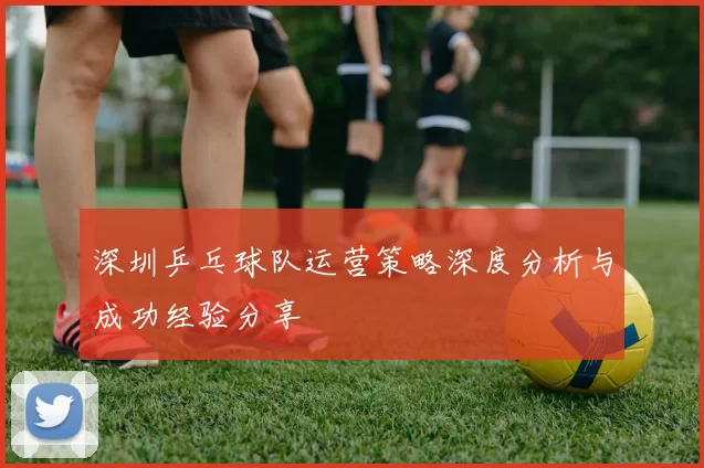 深圳乒乓球队运营策略深度分析与成功经验分享