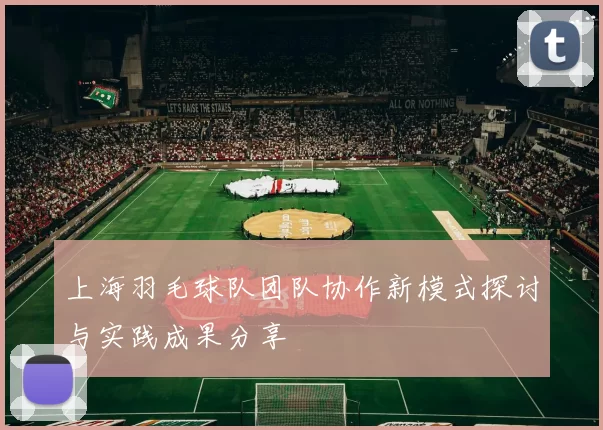 上海羽毛球队团队协作新模式探讨与实践成果分享
