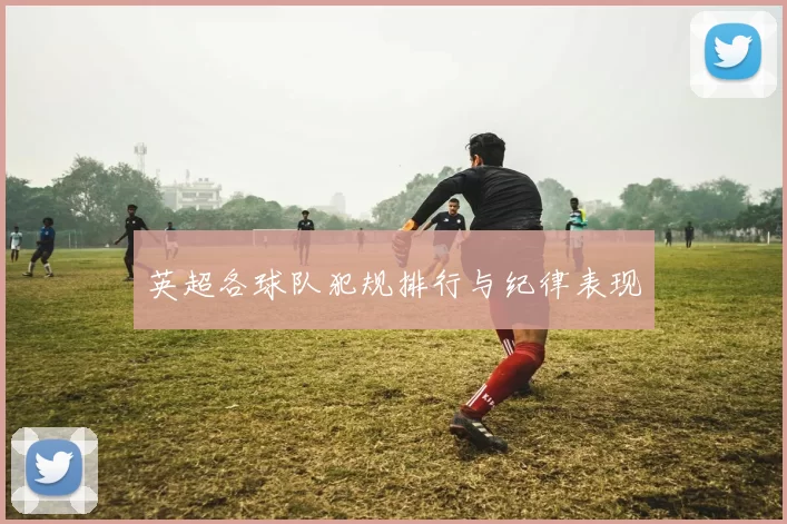 英超各球队犯规排行与纪律表现