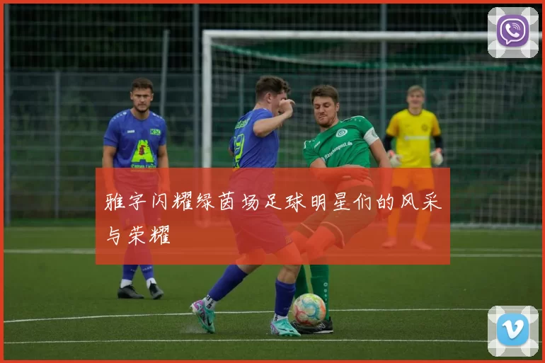雅字闪耀绿茵场足球明星们的风采与荣耀